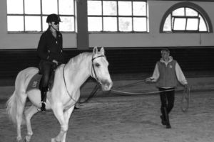 Canissa - Lipica Stud Farm - Adventures Croatia