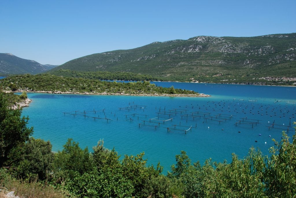 Oyster Havesting - Ston - Mali Ston - Croatia - Adventures Croatia